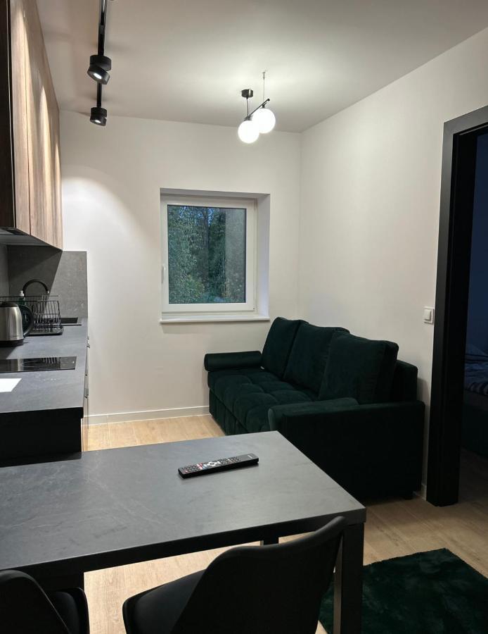 Lesne Wzgorze Apartamenty Korbielów Buitenkant foto